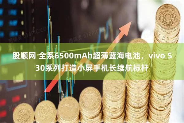 股顺网 全系6500mAh超薄蓝海电池，vivo S30系列打造小屏手机长续航标杆