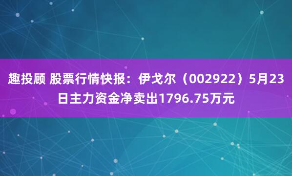 趣投顾 股票行情快报：伊戈尔（002922）5月23日主力资金净卖出1796.75万元