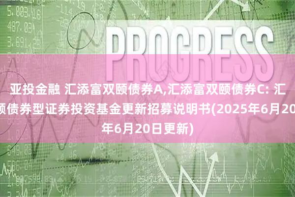 亚投金融 汇添富双颐债券A,汇添富双颐债券C: 汇添富双颐债券型证券投资基金更新招募说明书(2025年6月20日更新)