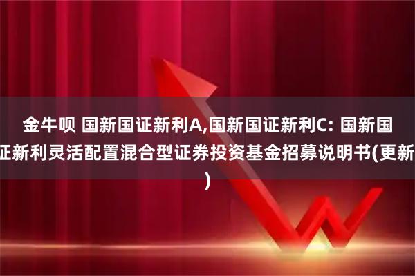金牛呗 国新国证新利A,国新国证新利C: 国新国证新利灵活配置混合型证券投资基金招募说明书(更新)
