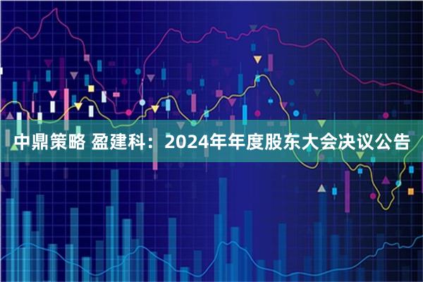 中鼎策略 盈建科：2024年年度股东大会决议公告